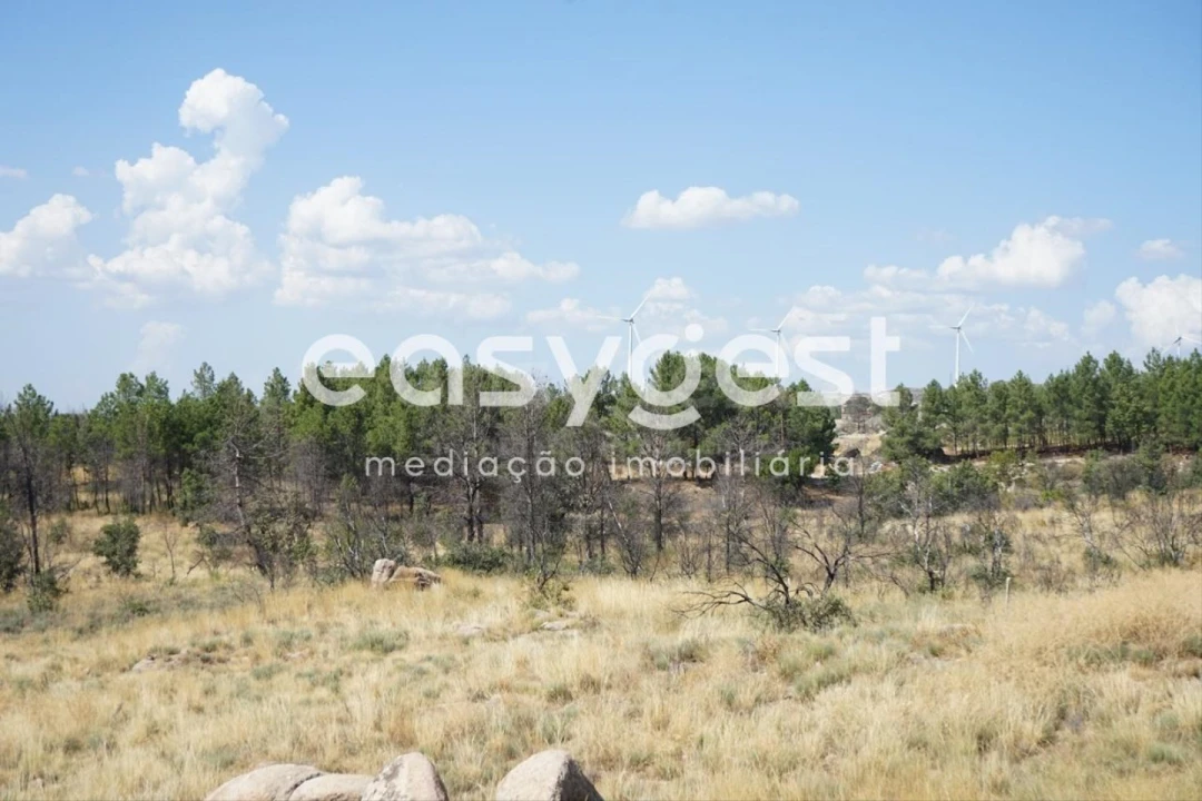 Terreno Agricola ou Rústico para Venda em Sortelha Foto 26