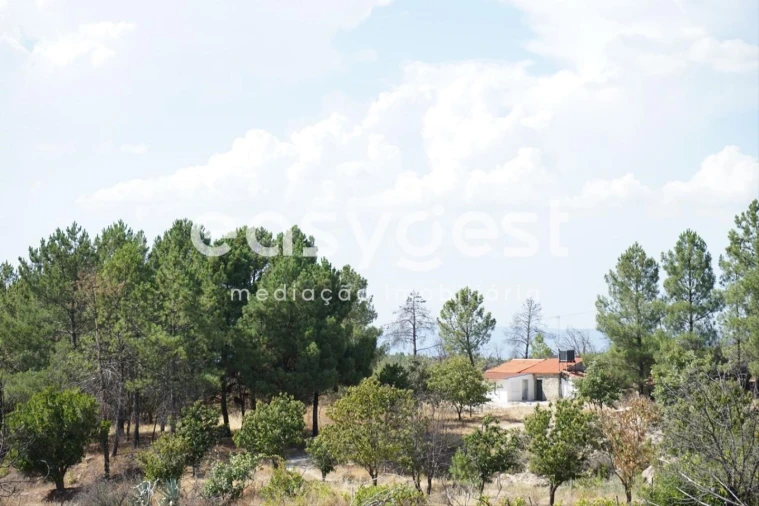 Terreno Agricola ou Rústico para Venda em Sortelha Foto 1