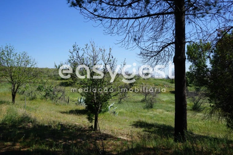 Terreno Agricola ou Rústico para Venda em Sortelha Foto 20