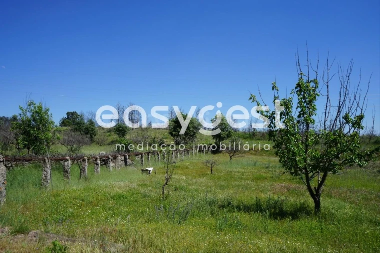 Terreno Agricola ou Rústico para Venda em Sortelha Foto 24