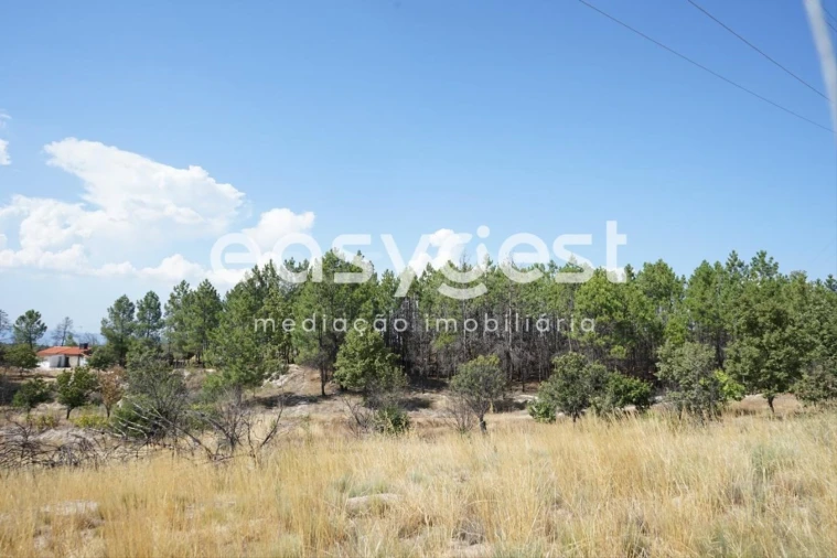 Terreno Agricola ou Rústico para Venda em Sortelha Foto 25