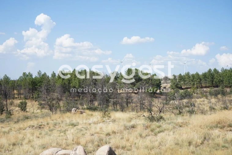 Terreno Agricola ou Rústico para Venda em Sortelha Foto 26