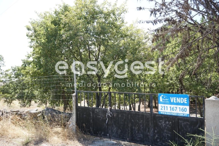 Terreno Agricola ou Rústico para Venda em Sortelha Foto 29