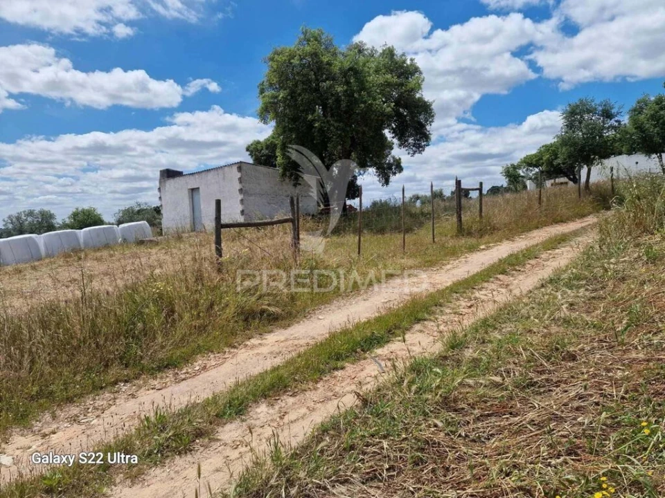 Terreno para Venda em Torrão Foto 4