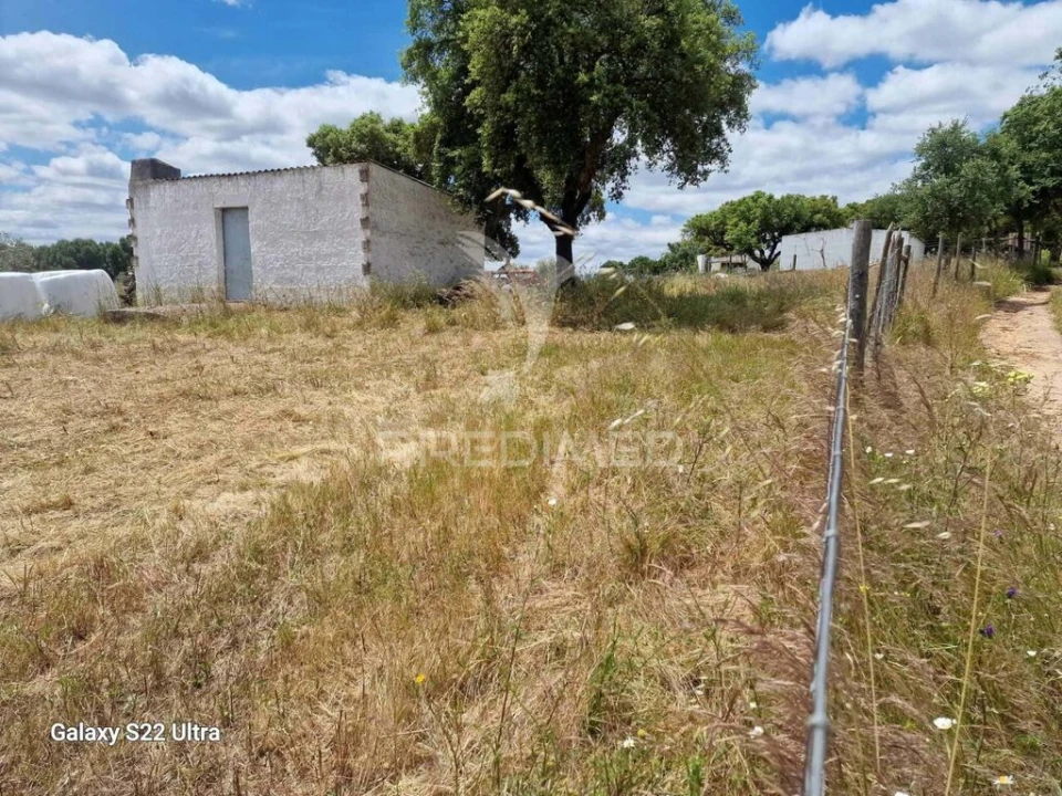Terreno para Venda em Torrão Foto 6