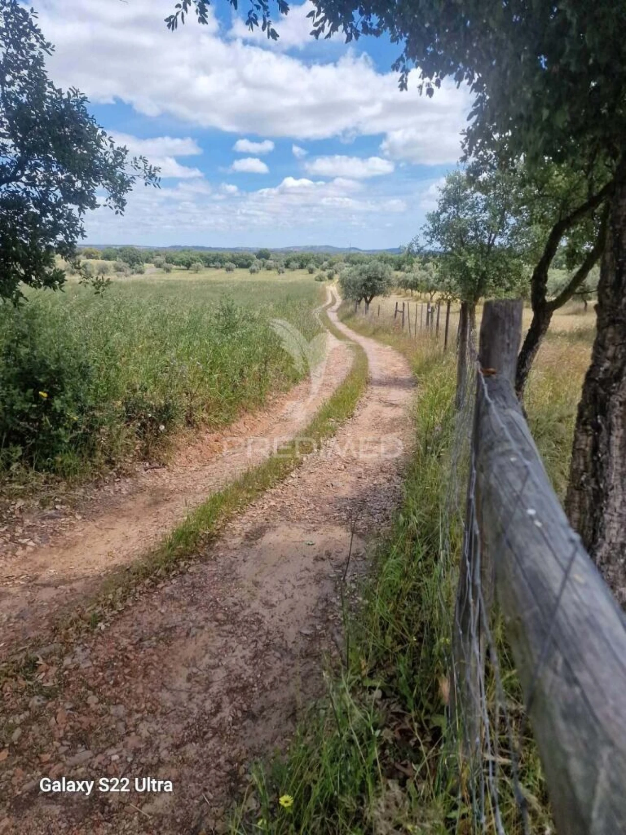 Terreno para Venda em Torrão Foto 18