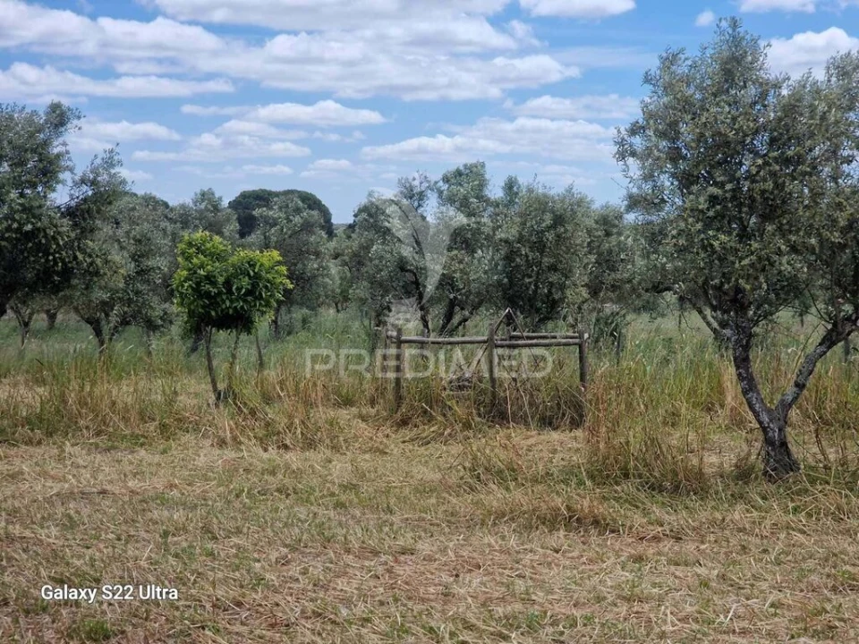 Terreno para Venda em Torrão Foto 10