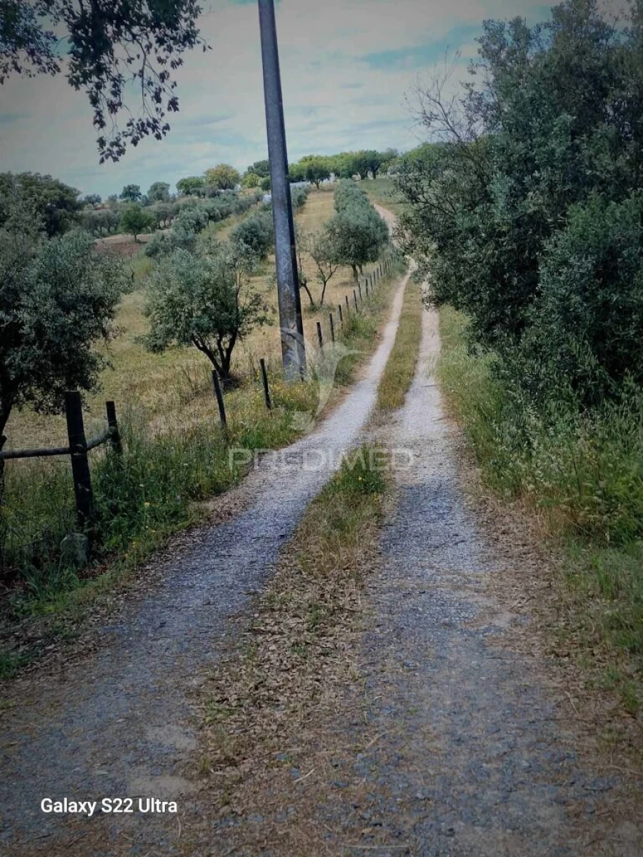 Terreno para Venda em Torrão Foto 19