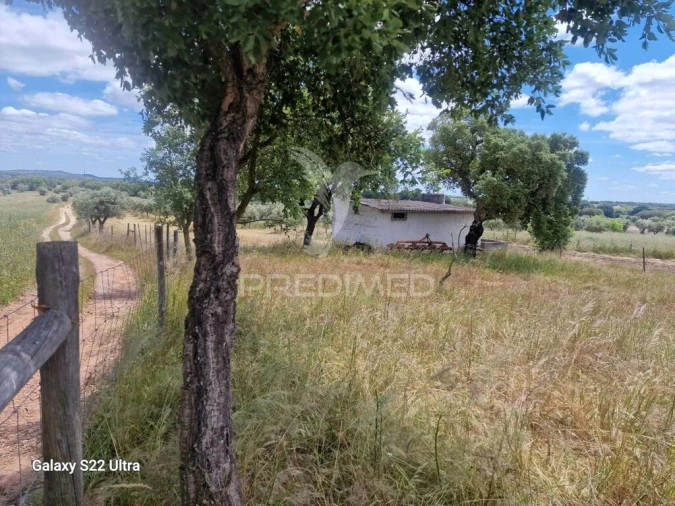Terreno para Venda em Torrão Foto 7