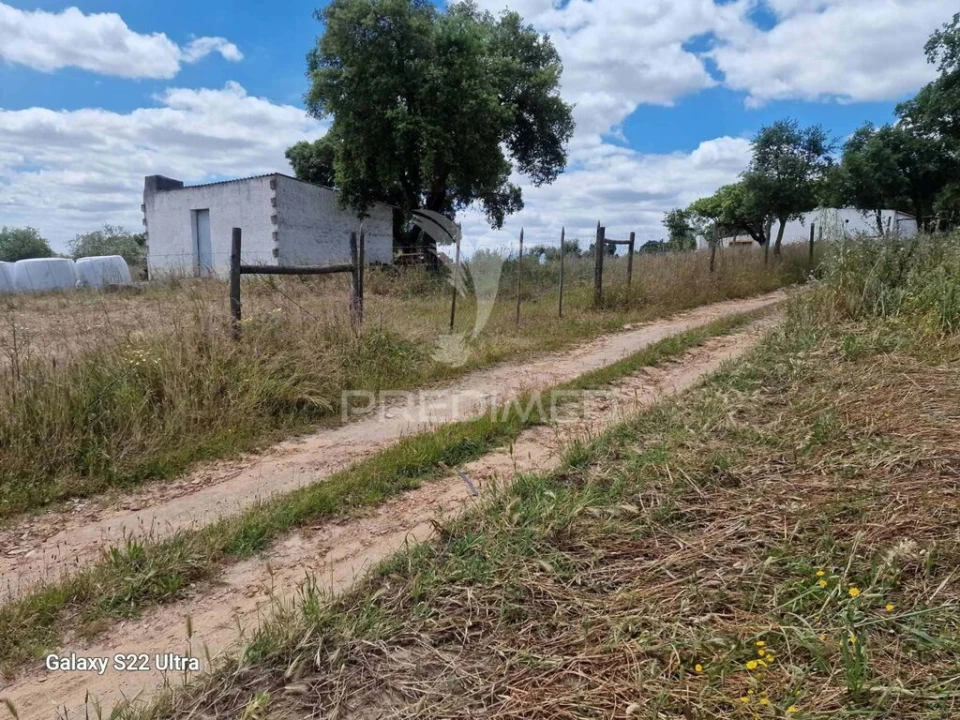 Terreno para Venda em Torrão Foto 9