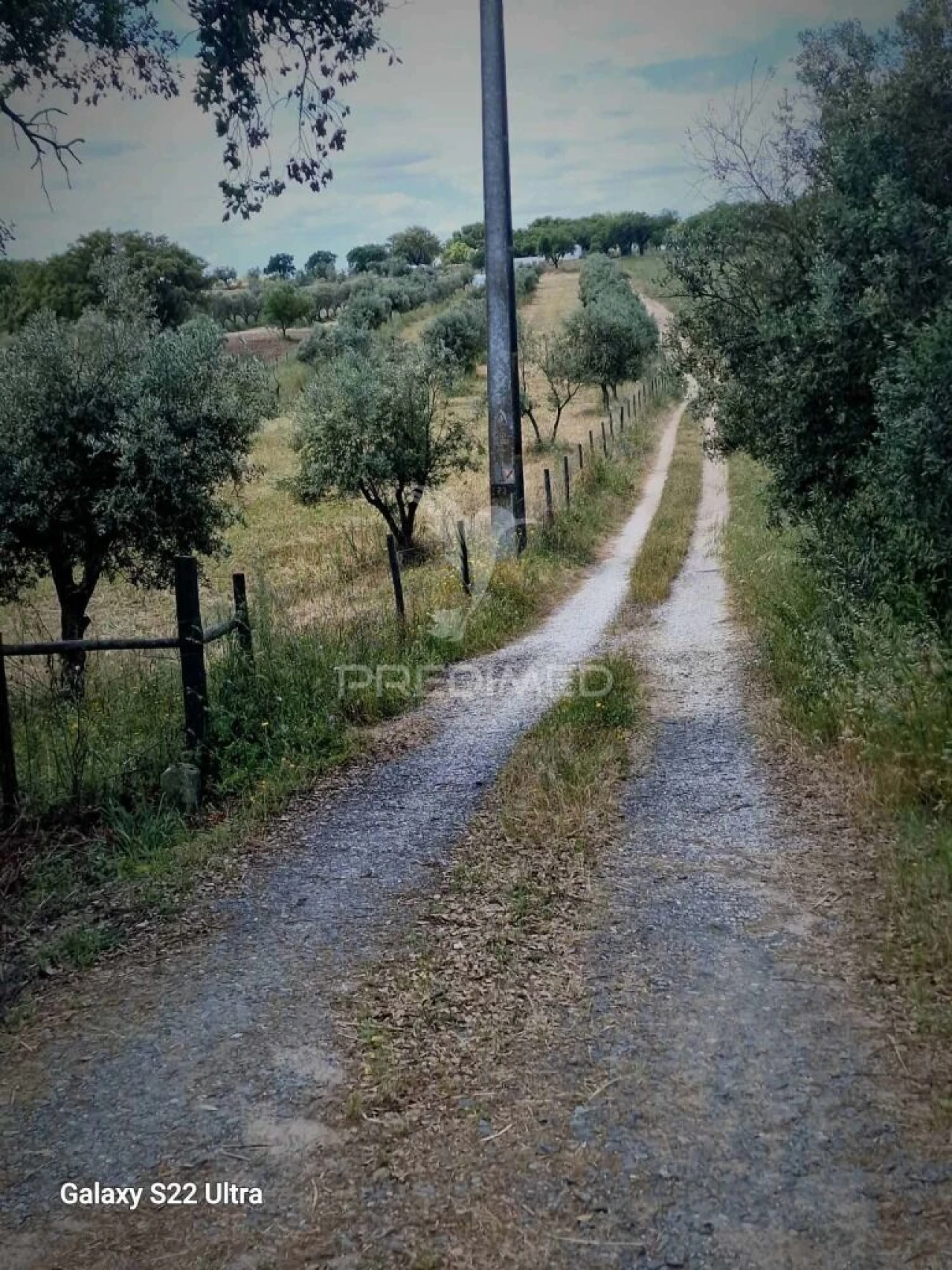 Terreno para Venda em Torrão Foto 20