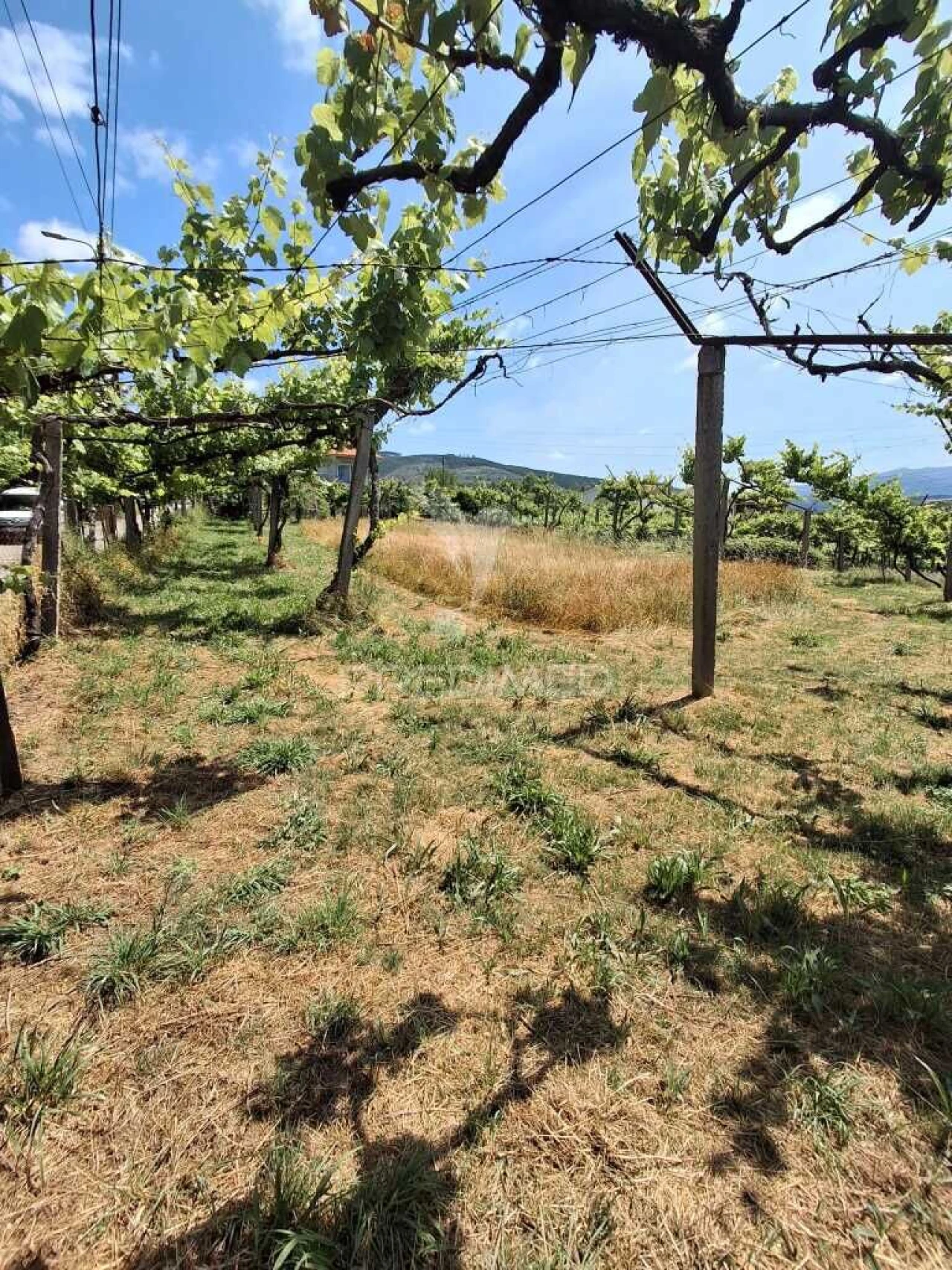 Terreno para Venda em Vila Garcia, Aboim e Chapa Foto 9