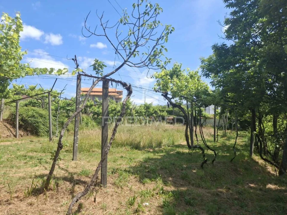 Terreno para Venda em Vila Garcia, Aboim e Chapa Foto 15