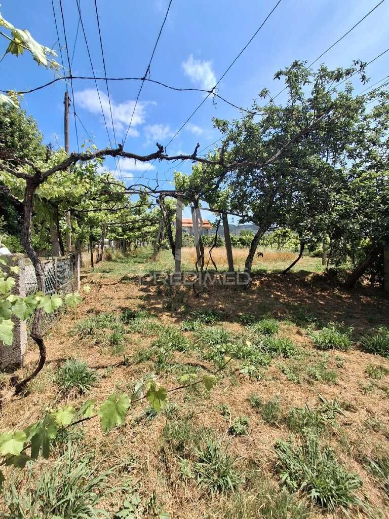 Terreno para Venda em Vila Garcia, Aboim e Chapa Foto 8