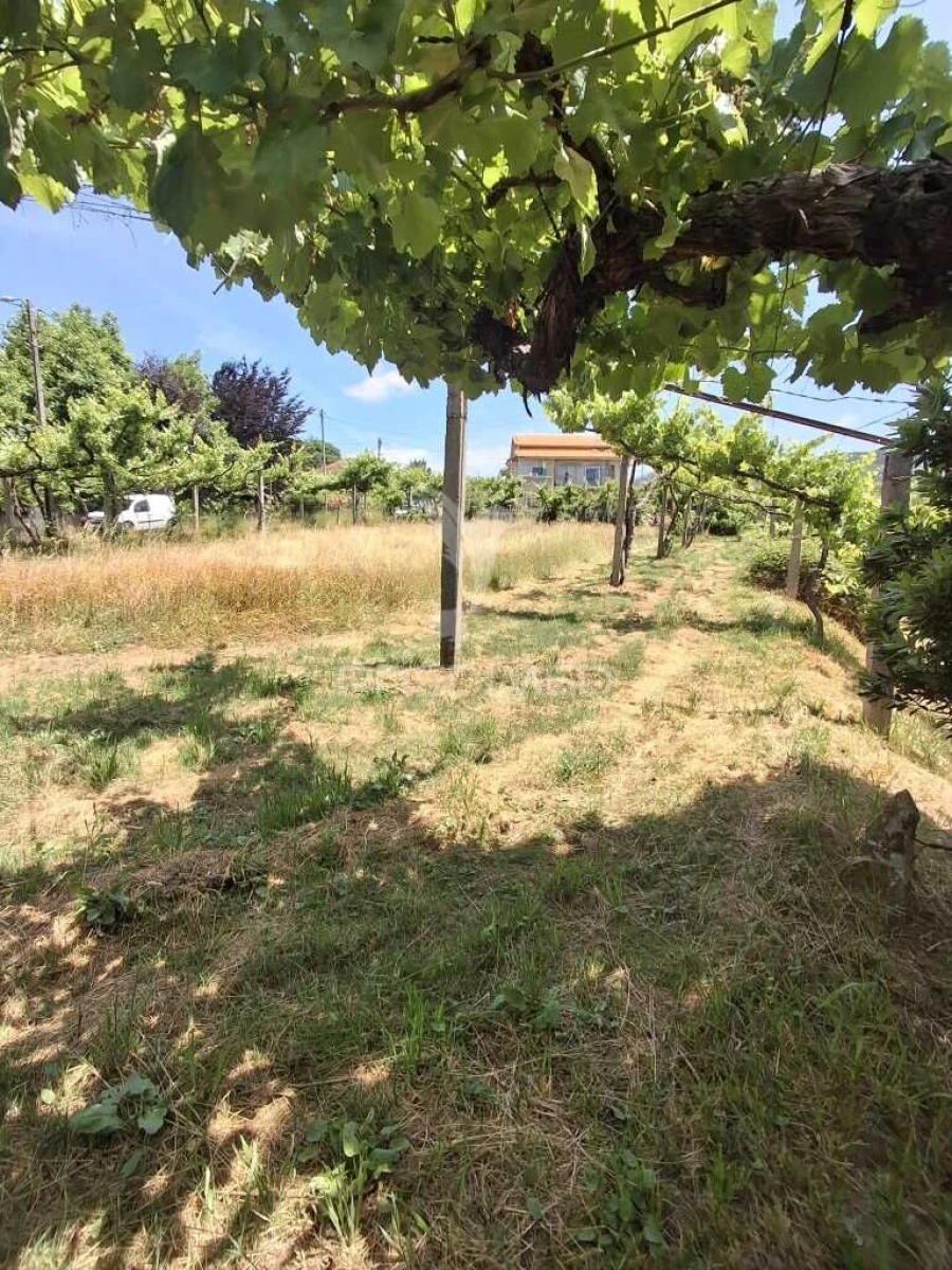 Terreno para Venda em Vila Garcia, Aboim e Chapa Foto 10