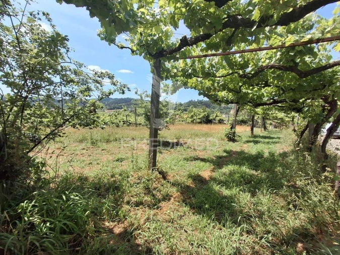 Terreno para Venda em Vila Garcia, Aboim e Chapa Foto 12