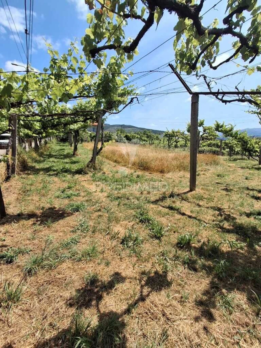 Terreno para Venda em Vila Garcia, Aboim e Chapa Foto 9