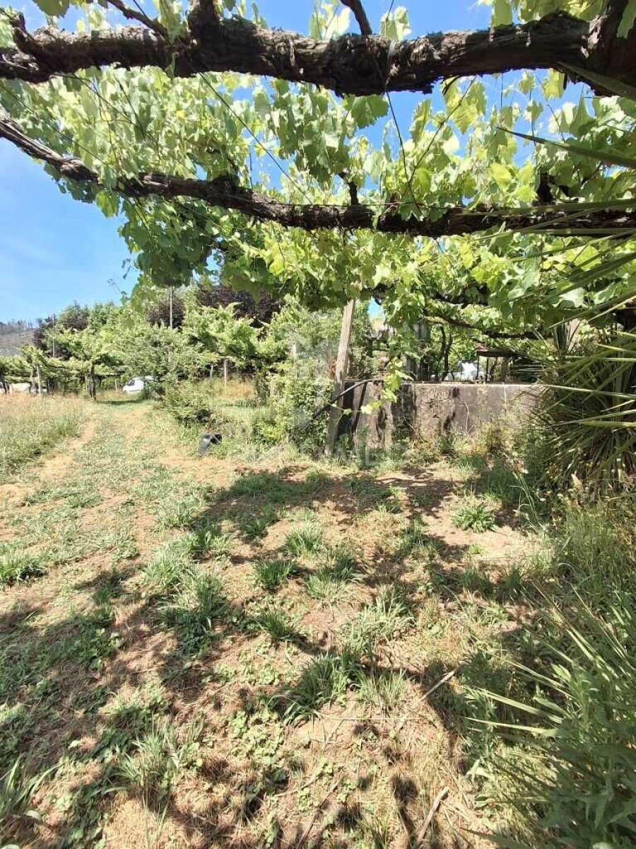 Terreno para Venda em Vila Garcia, Aboim e Chapa Foto 7