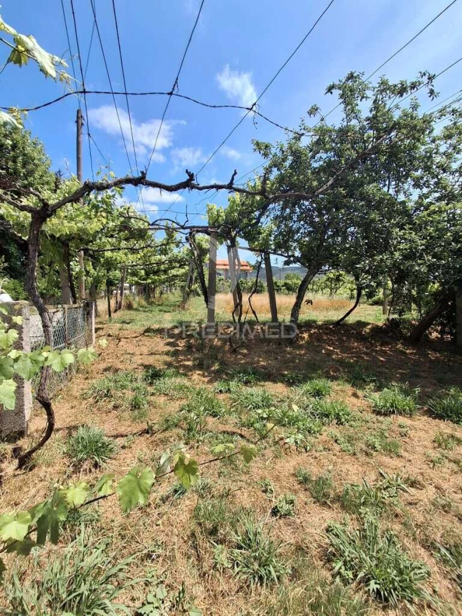 Terreno para Venda em Vila Garcia, Aboim e Chapa Foto 13