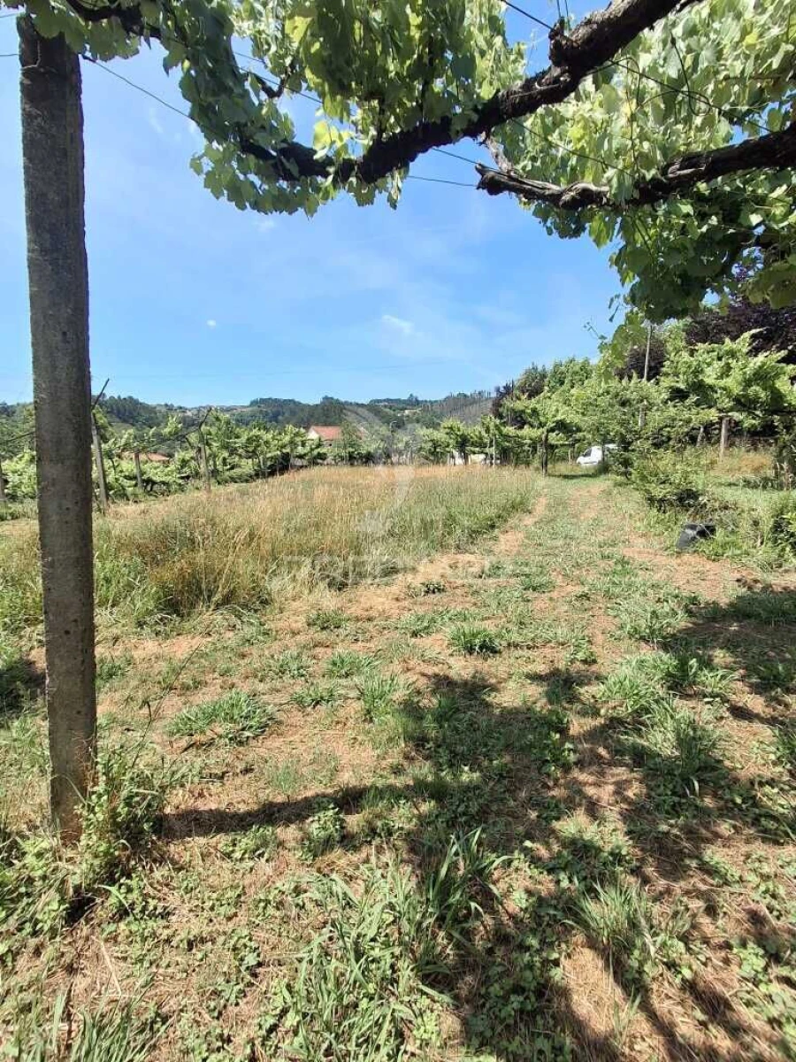 Terreno para Venda em Vila Garcia, Aboim e Chapa Foto 11