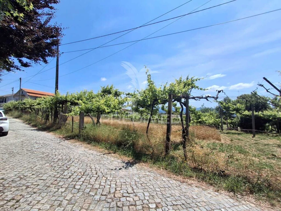 Terreno para Venda em Vila Garcia, Aboim e Chapa Foto 6