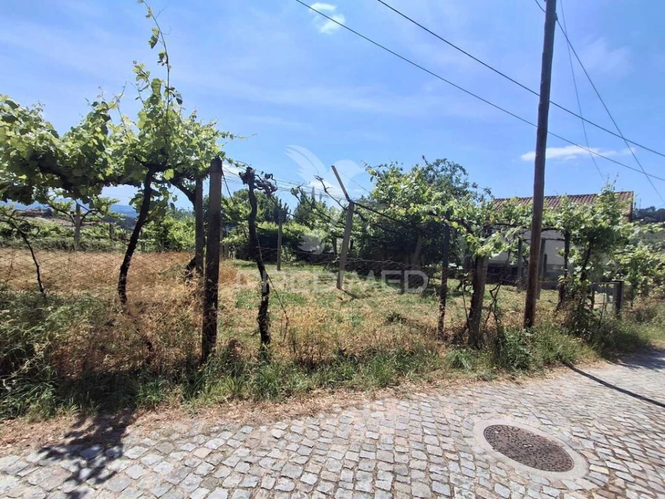 Terreno para Venda em Vila Garcia, Aboim e Chapa Foto 5
