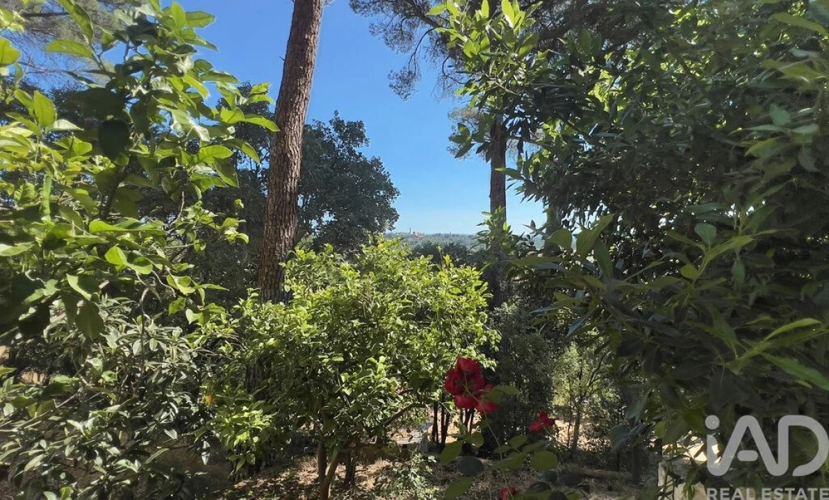 Moradia T4 para Venda em Madalena e Beselga Foto 28