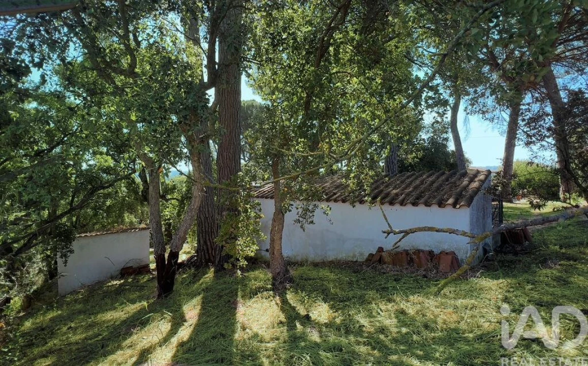 Moradia T4 para Venda em Madalena e Beselga Foto 27