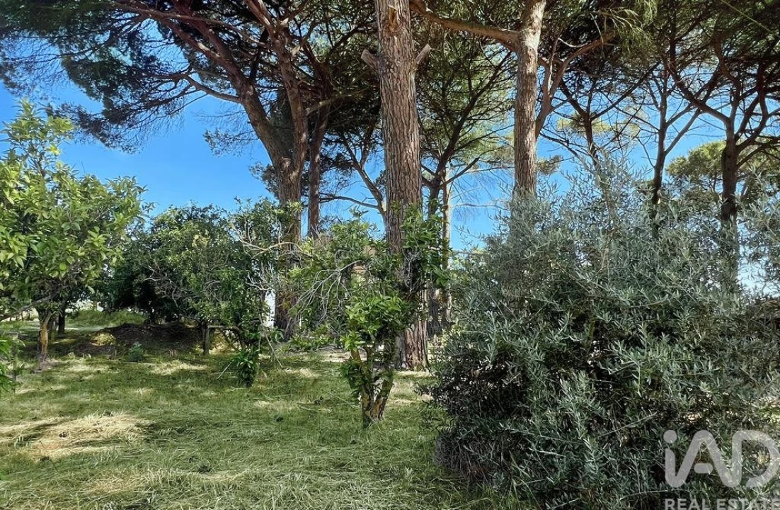 Moradia T4 para Venda em Madalena e Beselga Foto 25