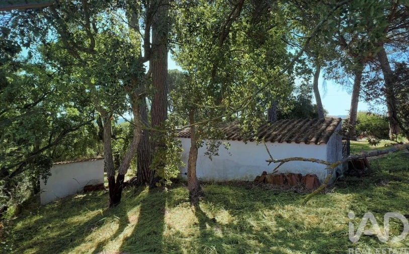 Moradia T4 para Venda em Madalena e Beselga Foto 27