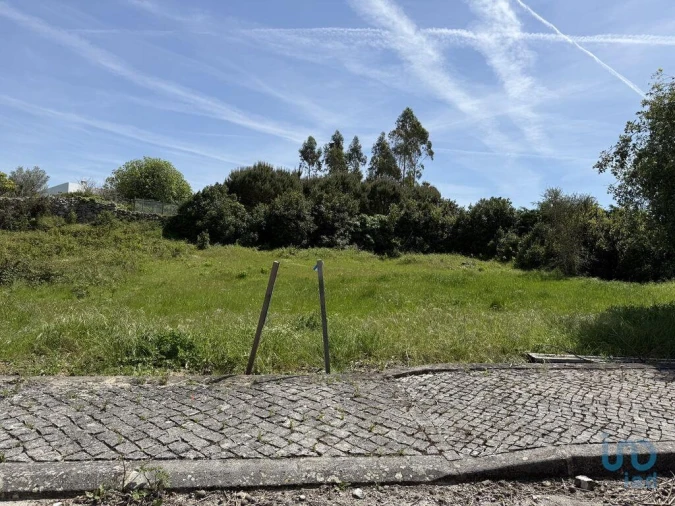 Terreno para Venda em Reguengo Grande Foto 5