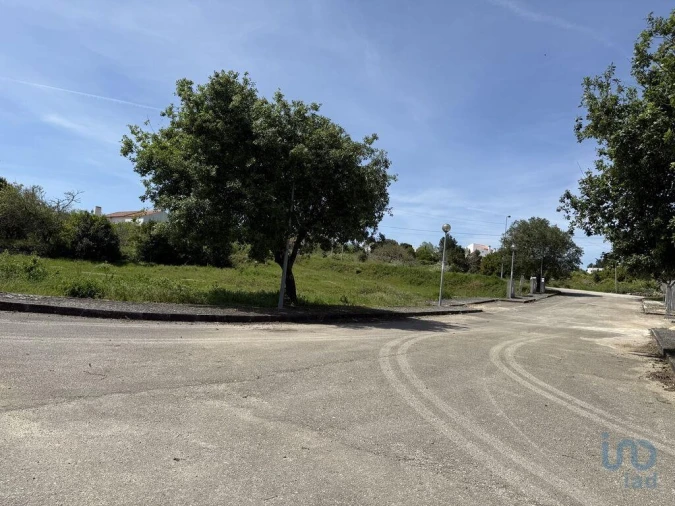 Terreno para Venda em Reguengo Grande Foto 4