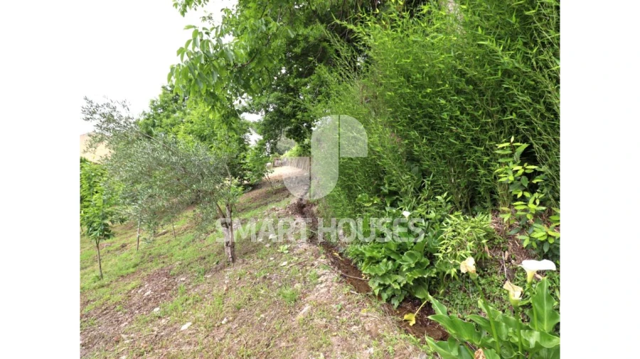 Moradia T2 para Venda em Pomares Foto 32