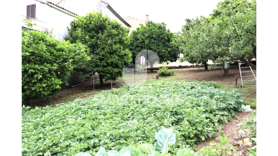 Moradia T2 para Venda em Pomares Foto 35