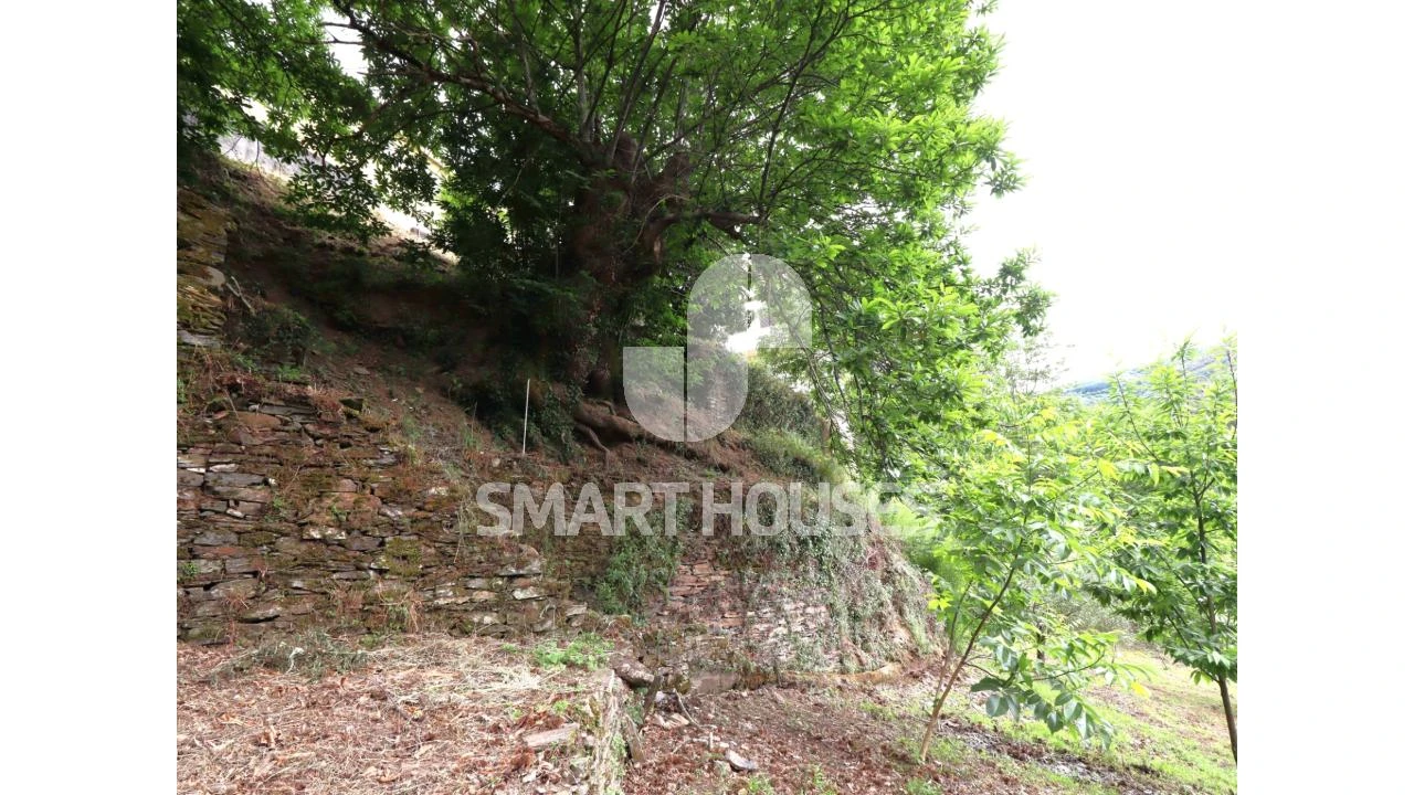 Moradia T2 para Venda em Pomares Foto 33