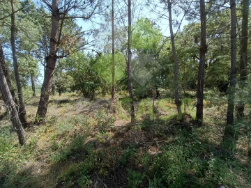 Moradia T3 para Venda em Sesimbra (Castelo)