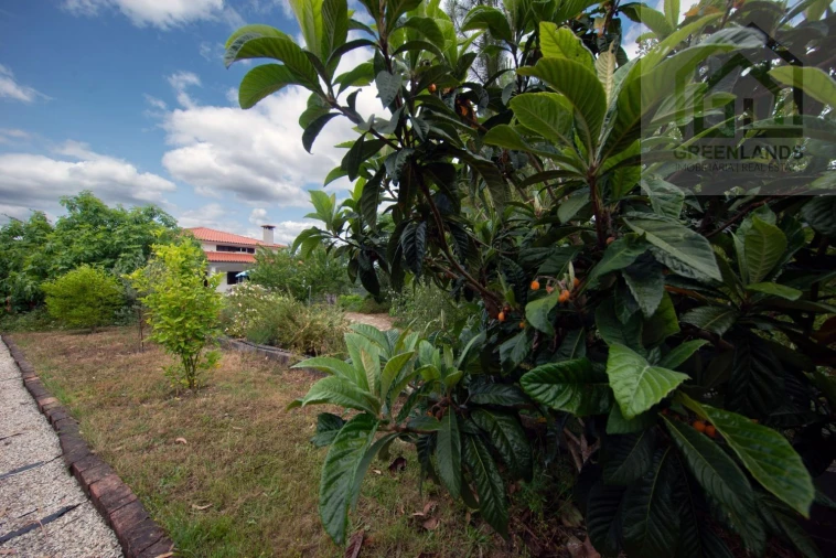 Quinta T4 para Venda em Côja e Barril de Alva Foto 12