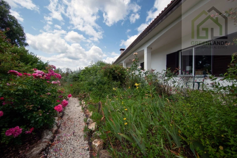 Quinta T4 para Venda em Côja e Barril de Alva Foto 10