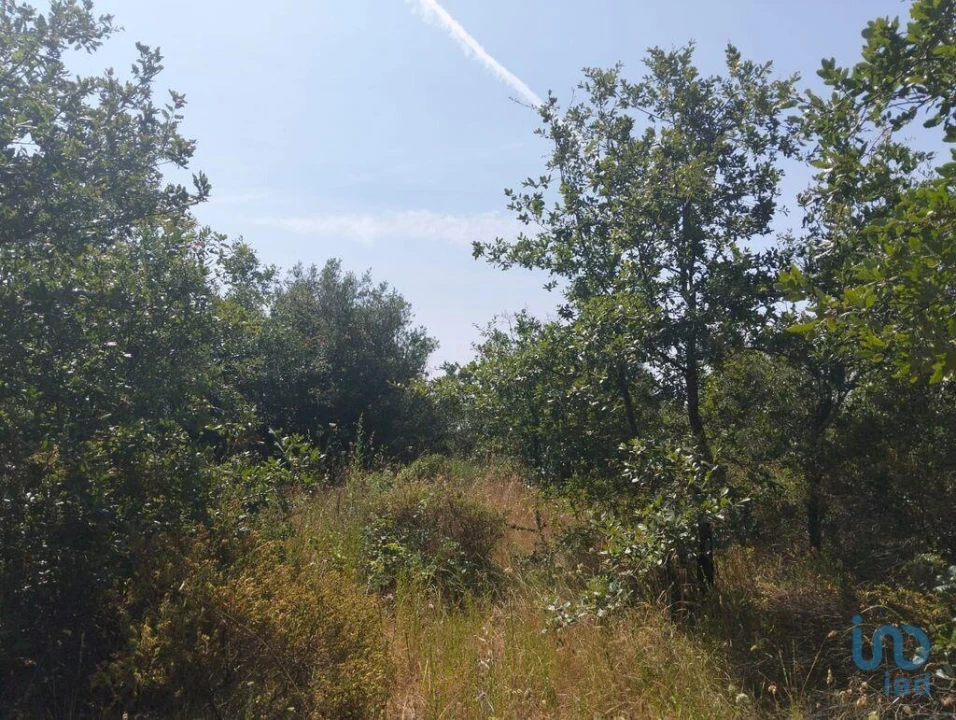 Terreno para Venda em Chãos Foto 11