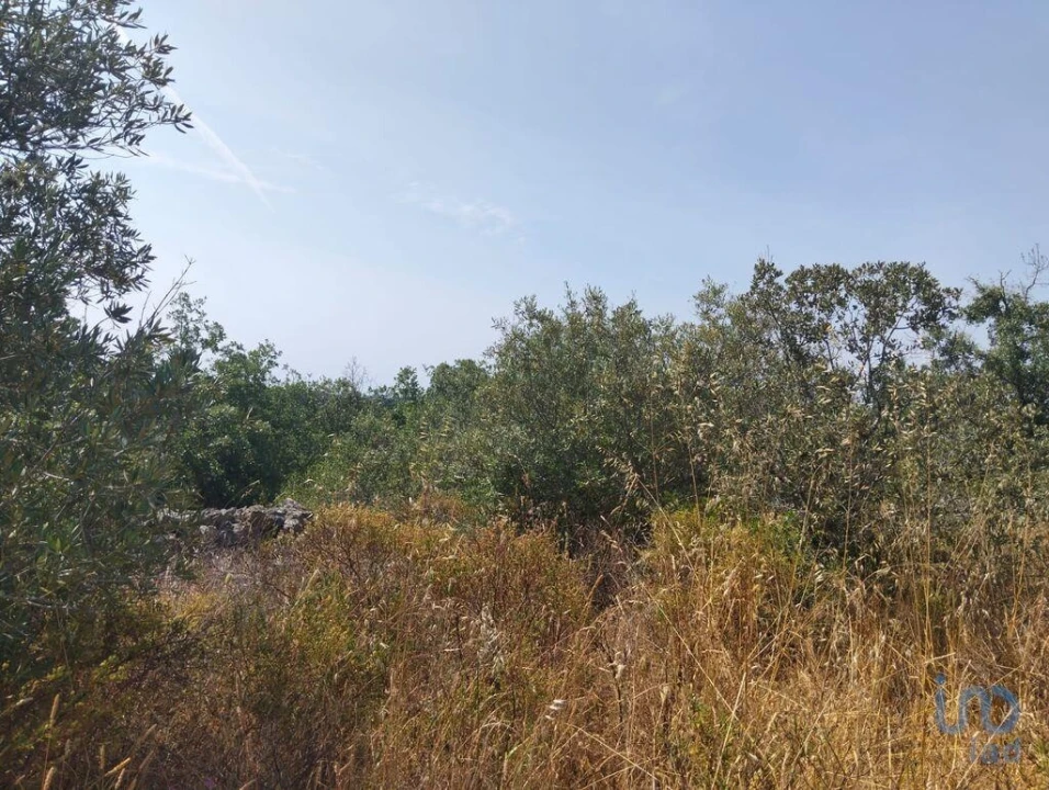 Terreno para Venda em Chãos Foto 6
