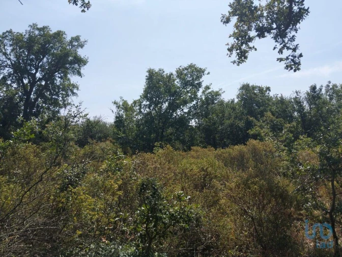 Terreno para Venda em Chãos Foto 10