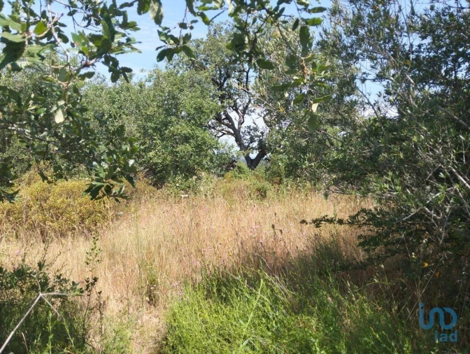Terreno para Venda em Chãos Foto 7