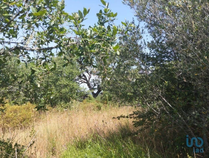 Terreno para Venda em Chãos Foto 3