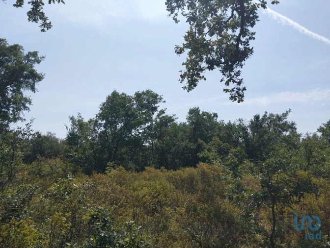 Terreno para Venda em Chãos Foto 12