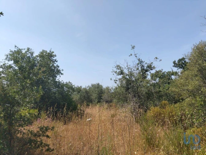 Terreno para Venda em Chãos Foto 4