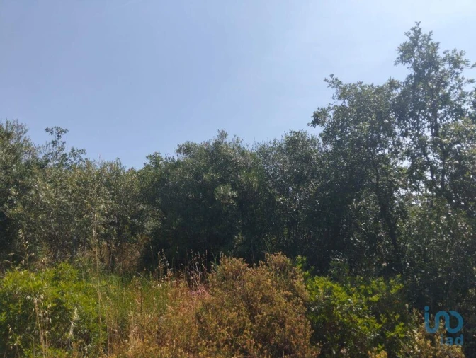 Terreno para Venda em Chãos Foto 8