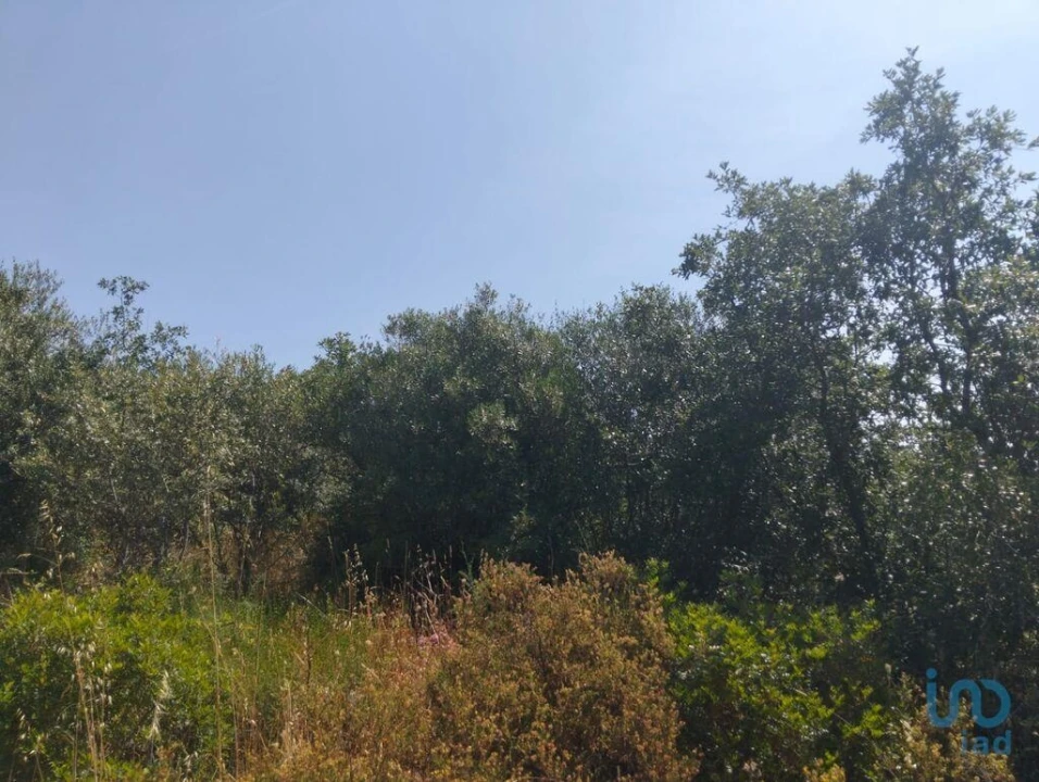 Terreno para Venda em Chãos Foto 8