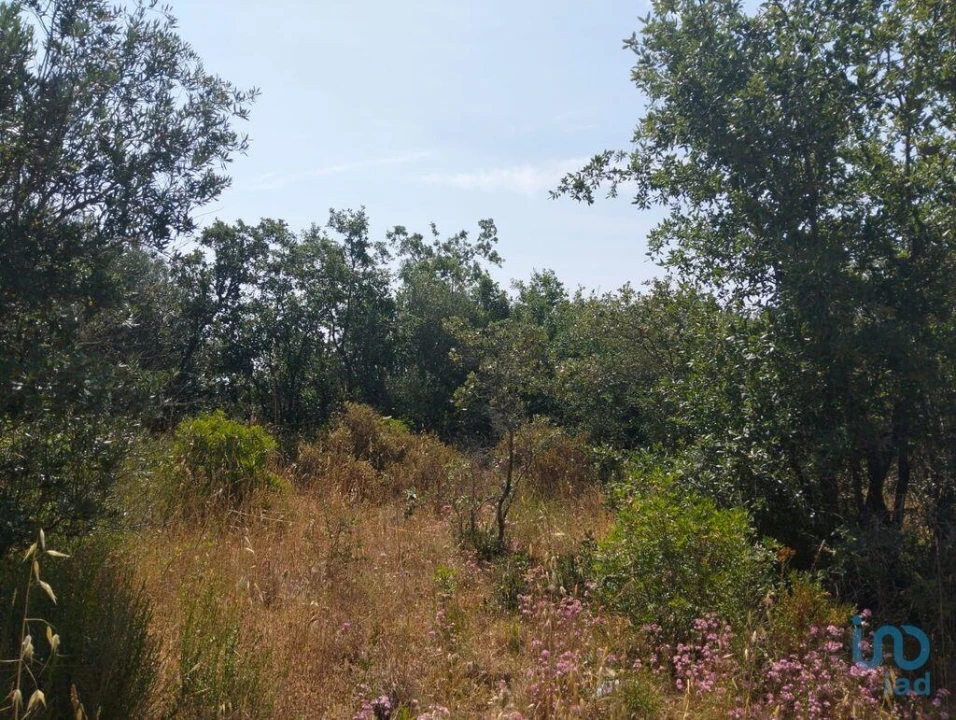 Terreno para Venda em Chãos Foto 1