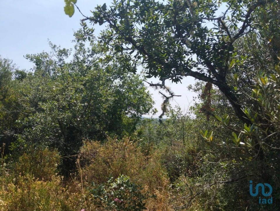 Terreno para Venda em Chãos Foto 9