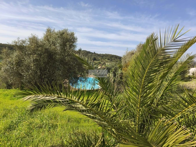 Quinta T6 para Venda em Lagos (São Sebastião e Santa Maria) Foto 59
